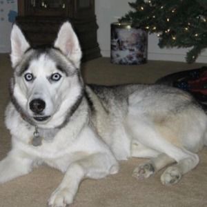 Meet your Posher, Baylee